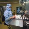 Flu vaccine production