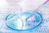 Genetic research petri dish