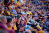 Gopher crowd