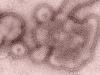 H3N2 influenza