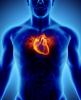Illustration of heart