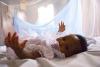 Infant with malaria bednet