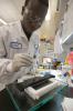 A lab researcher at work.