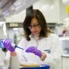 Lab scientist