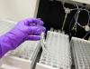 Lab test tubes
