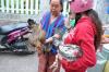 Buying live poultry