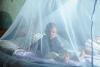 Malaria bed net