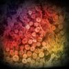 MERS-CoV in cytoplasm