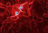 MERS virus particles