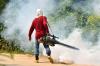 Mosquito fumigation