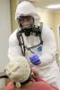 Nasal swab maximum PPE