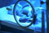 Newborn in incubator