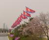 North Korean flags in Pyongyang