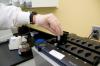 PCR testing