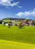 Picturesque rural scene