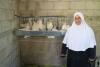 Poultry farmer in Palestine