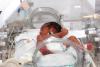 Premature infant