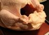 Raw whole turkey