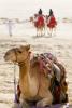 Camel riding
