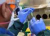 RT-PCR testing by lab worker