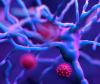 COVID-19 viruses attacking neurons in the brain
