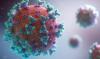 SARS-CoV-2 viruses, which cause COVID-19