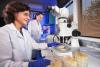 Lab researchers