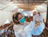 Veterinarian and chicken