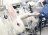 White lab rabbits
