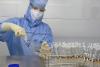 Yellow fever vaccine