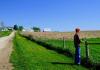 Farmer looking over his fields