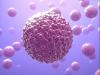 Zika virus