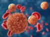 Zika virus