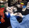 Zika virus researcher