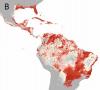 Zika Americas map