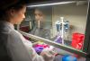 Zika test samples